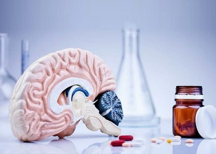 Uống thuốc bổ não lúc nào tốt nhất? 