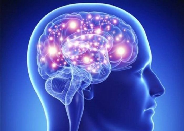 Những sự thật thú vị về bộ não con người mà có thể bạn chưa biết về não bộ con người